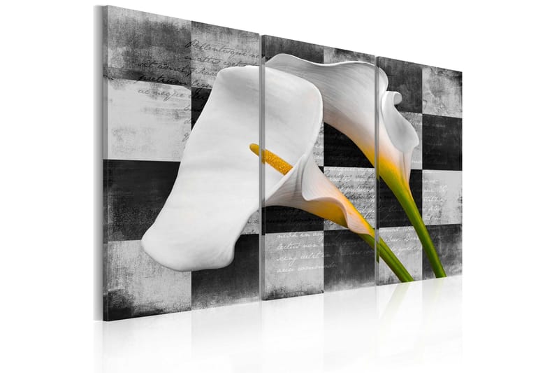 Billede Callas Vintage 60x40, Artgeist sp. z o. o.