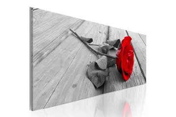 Billede Carmine Rose 135x45 - Artgeist sp. z o. o. - Boligtilbehør - Billeder & kunst - Billeder på lærred