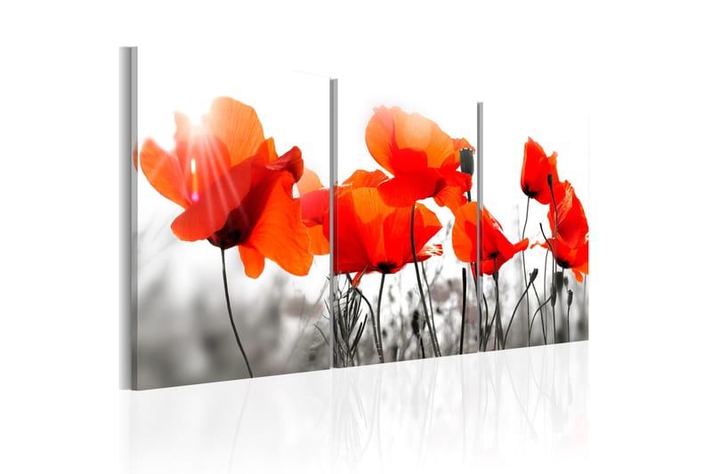 Billede Charming Poppies 120x60, Artgeist sp. z o. o.