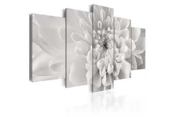 Billede Dahlia Flower In Grey Shades 200x100 - Artgeist sp. z o. o. - Boligtilbehør - Billeder & kunst - Billeder på lærred