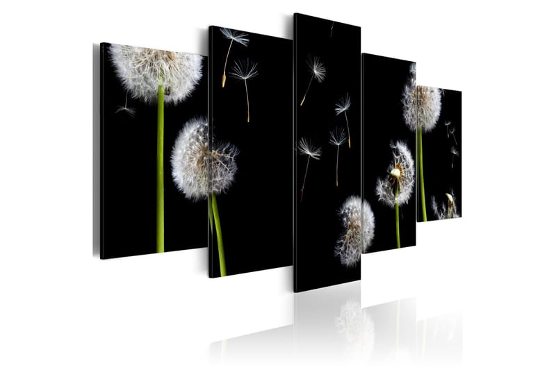 Billede Dandelion- Towards Freedom 100x50, Artgeist sp. z o. o.