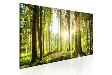 Billede Daylight 120x40 - Artgeist sp. z o. o. - Boligtilbehør - Billeder & kunst - Billeder på lærred