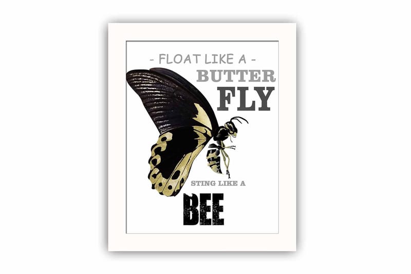 Billede Dyr med ramme flerfarvet, 22,3x52,8 cm