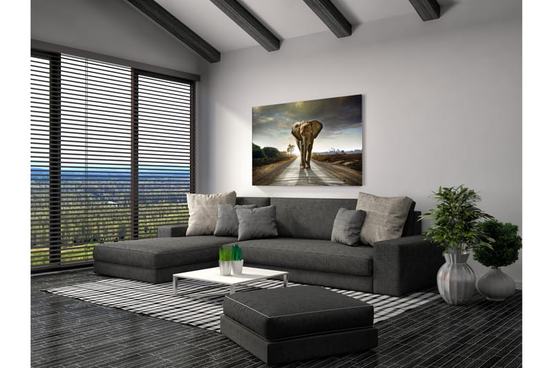 Billede Elephant - 80x120 cm - Boligtilbehør - Billeder & kunst