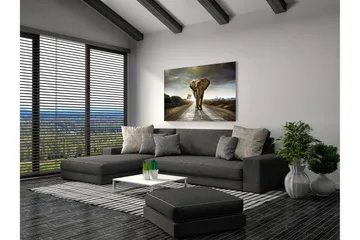 Billede Elephant - 80x120 cm - Boligtilbehør - Billeder & kunst