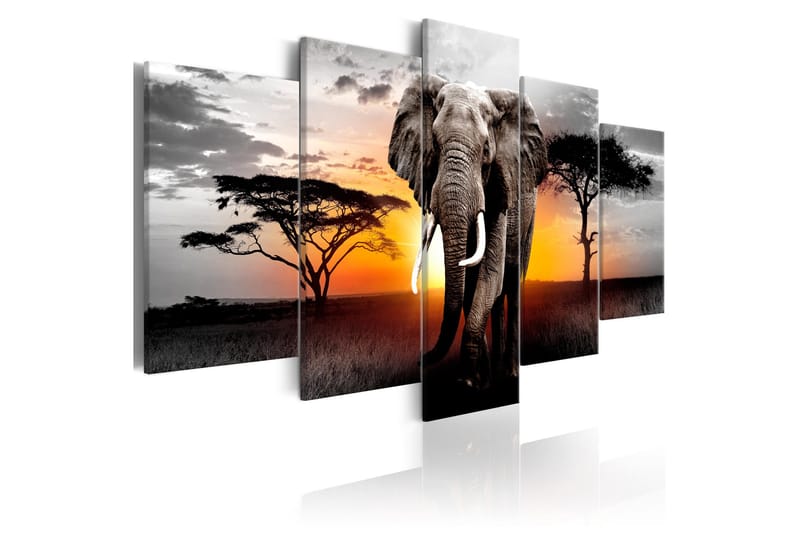 Billede Elephant At Sunset 100x50, Artgeist sp. z o. o.