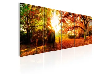 Billede Enchanting Autumn 225x90 - Artgeist sp. z o. o. - Boligtilbehør - Billeder & kunst - Billeder på lærred