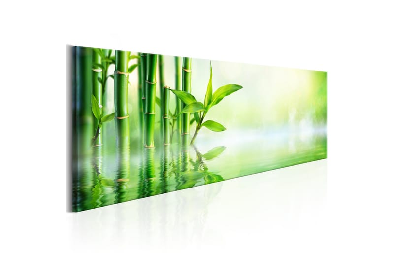 Billede Green Bamboo 150x50, Artgeist sp. z o. o.