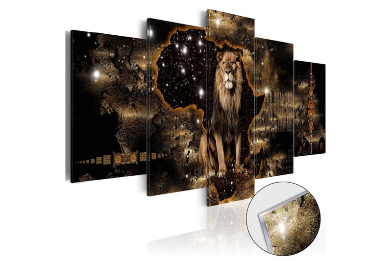 Billede I Akryl Golden Lion 100x50, Artgeist sp. z o. o.