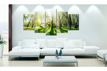 Billede I Akryl Green Glade 100x50 - Artgeist sp. z o. o. - Boligtilbehør - Billeder & kunst