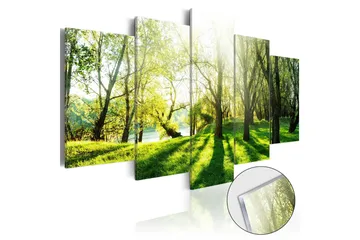 Billede I Akryl Green Glade 100x50 - Artgeist sp. z o. o. - Boligtilbehør - Billeder & kunst