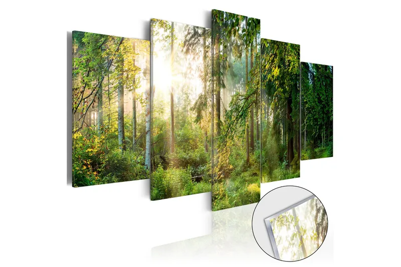 Billede I Akryl Green Sanctuary 100x50, Artgeist sp. z o. o.