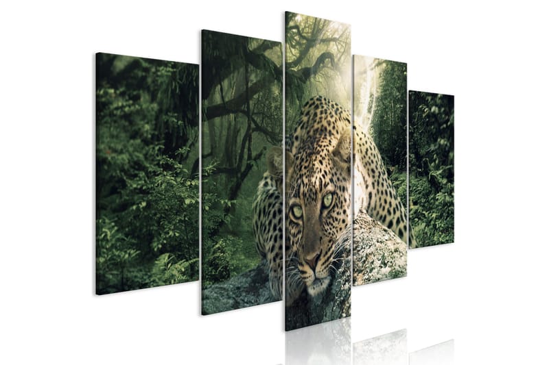 Billede Leopard Lying 5 Parts Wide Pale Green 100x50, Artgeist sp. z o. o.