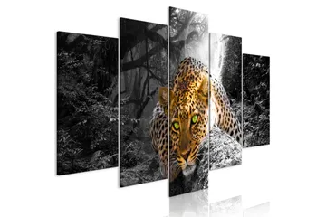 Billede Leopard Lying 5 Parts Wide Grey 100x50 - Artgeist sp. z o. o. - Boligtilbehør - Billeder & kunst - Billeder på lærred