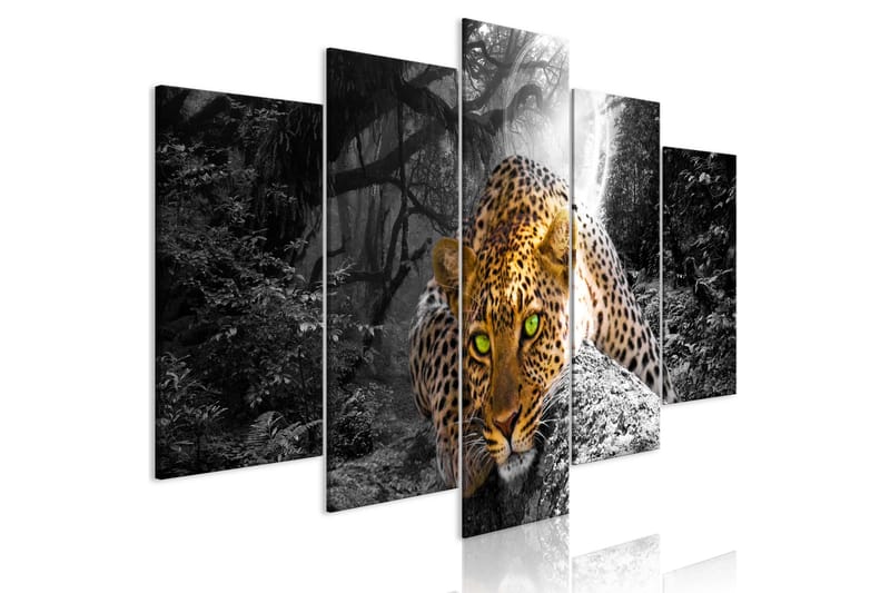 Billede Leopard Lying 5 Parts Wide Grey 100x50, Artgeist sp. z o. o.