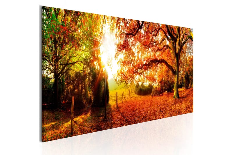 Billede Magic of Autumn 120x40, Artgeist sp. z o. o.
