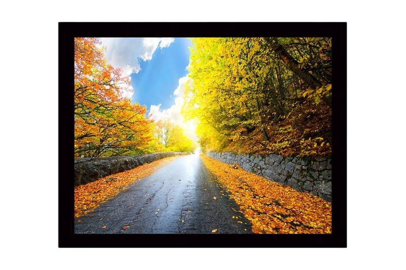 Billede med ramme flerfarvet, 44x15 cm