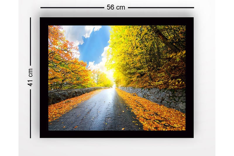 Billede med ramme flerfarvet - 44x15 cm - Boligtilbehør - Billeder & kunst