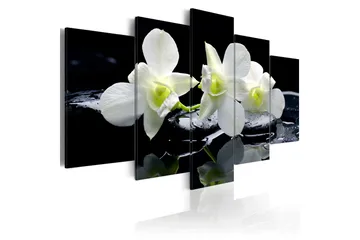 Billede Melancholic Orchids 100x50 - Artgeist sp. z o. o. - Boligtilbehør - Billeder & kunst - Billeder på lærred