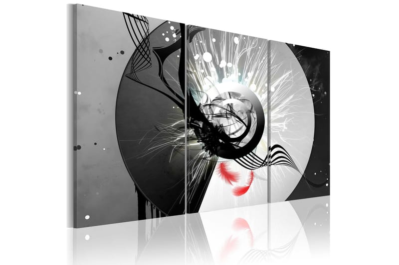 Billede Metal Circle & Red Feathers 120x80, Artgeist sp. z o. o.