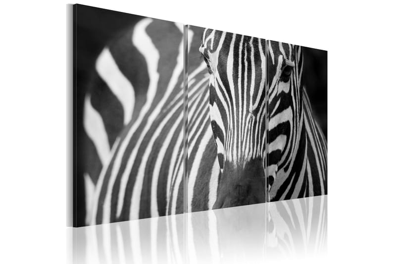 Billede Mrs Zebra 120x80, Artgeist sp. z o. o.