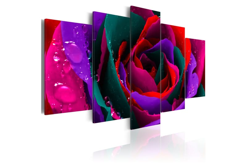 Billede Multicoloured Rose 100x50, Artgeist sp. z o. o.