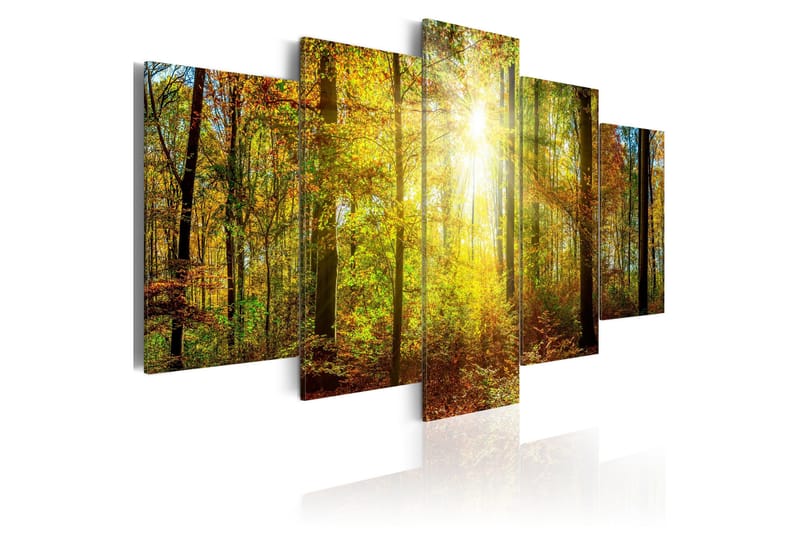 Billede Mystical Forest 200x100, Artgeist sp. z o. o.