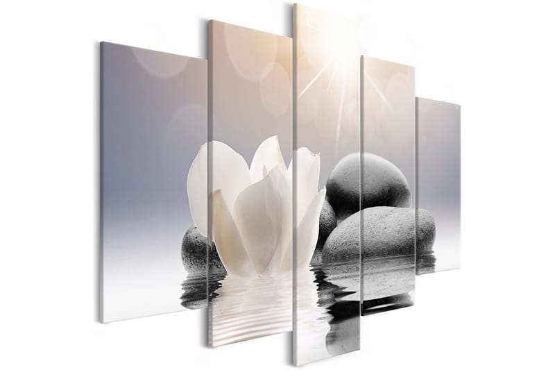 Billede Natural Lightness 5 Parts Wide 100x50, Artgeist sp. z o. o.