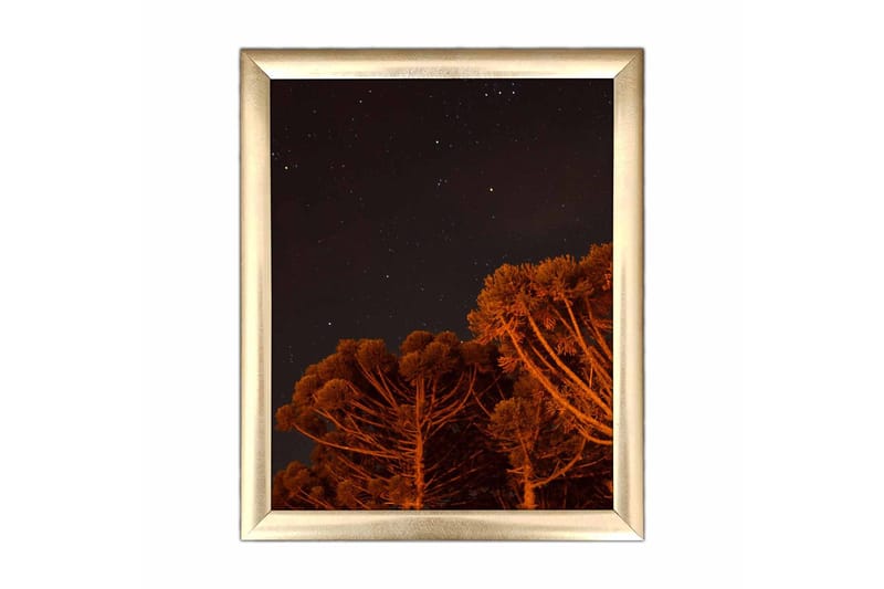 Billede Nautisk med ramme flerfarvet, 22,3x52,8 cm