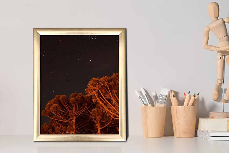 Billede Nautisk med ramme flerfarvet - 22,3x52,8 cm - Boligtilbehør - Billeder & kunst