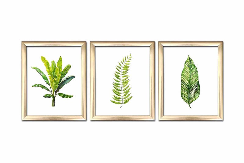 Billede of Floral Frame 3 stk Flerfarvet - 22,3x52,8 cm - Boligtilbehør - Billeder & kunst