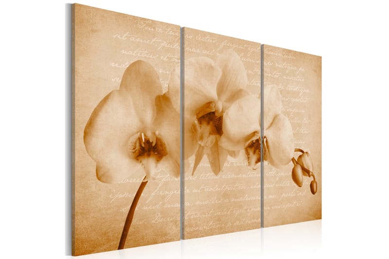 Billede Orkidé Vintage 120x80, Artgeist sp. z o. o.