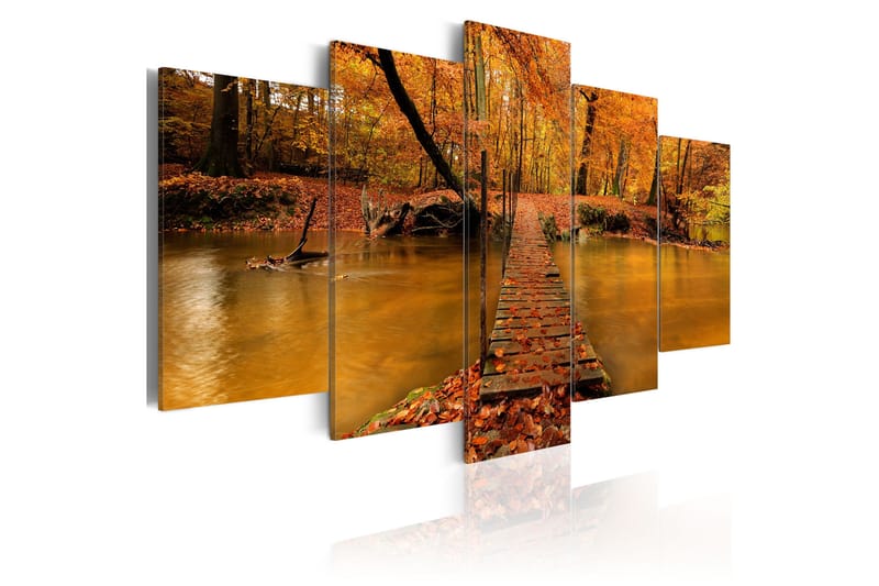 Billede Redness Of Autumn 200x100, Artgeist sp. z o. o.
