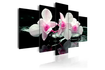 Billede Rest Of Orchids 200x100 - Artgeist sp. z o. o. - Boligtilbehør - Billeder & kunst - Billeder på lærred