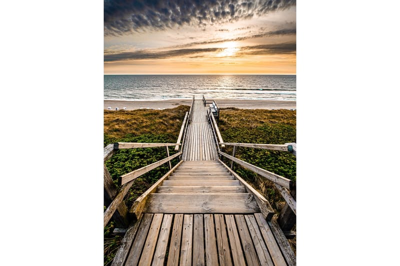 Billede Road to sea, 55x07 cm