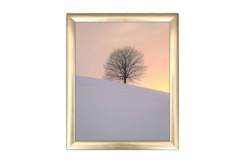 Billede Scenic med ramme flerfarvet - 22,3x52,8 cm - Boligtilbehør - Billeder & kunst