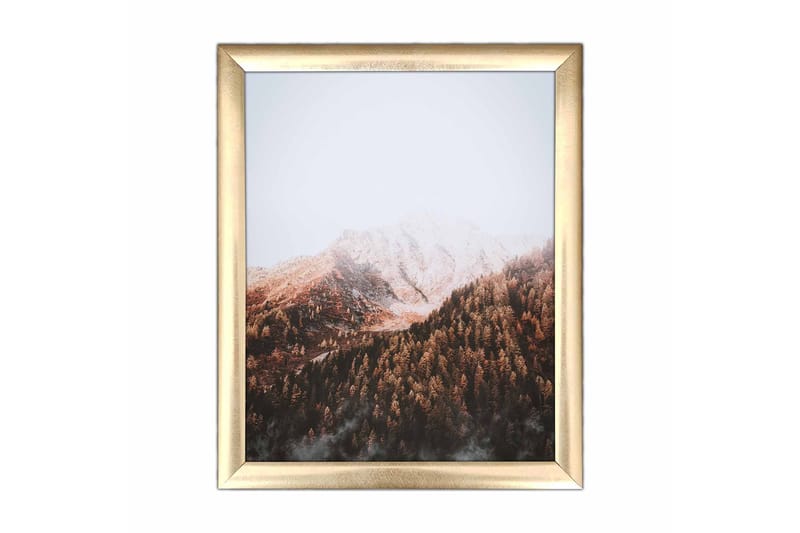 Billede Scenic med ramme flerfarvet - 22,3x52,8 cm - Boligtilbehør - Billeder & kunst