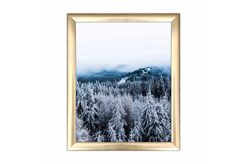 Billede Scenic med ramme flerfarvet, 22,3x52,8 cm