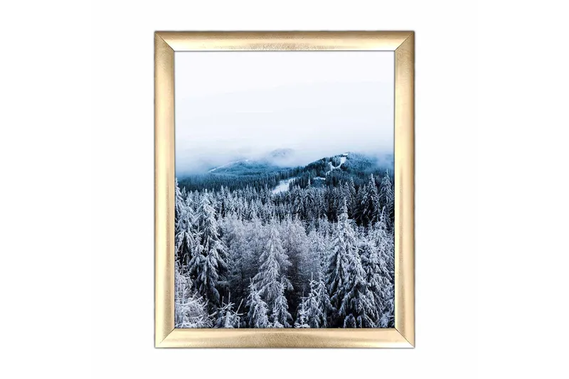 Billede Scenic med ramme flerfarvet, 22,3x52,8 cm