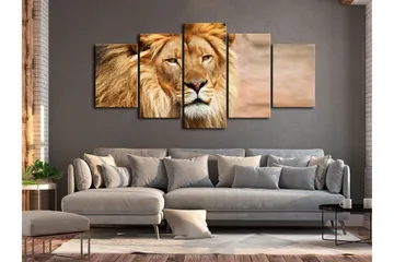 Billede The King Of Beasts 5 Parts Wide Orange 200x100 - Artgeist sp. z o. o. - Boligtilbehør - Billeder & kunst - Billeder på lærred