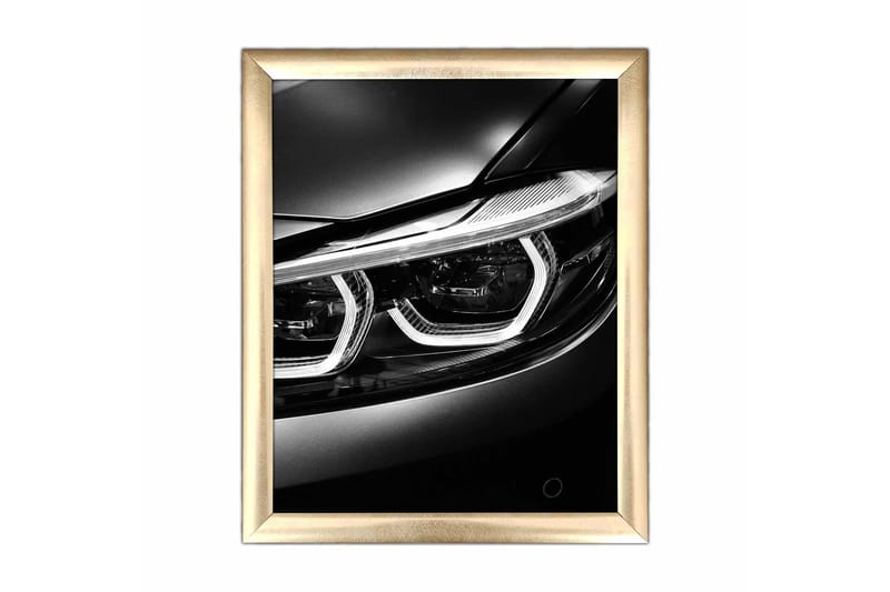 Billede Transport med ramme flerfarvet, 22,3x52,8 cm