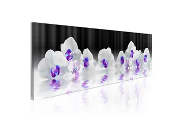 Billede Water Orchids 135x45 - Artgeist sp. z o. o. - Boligtilbehør - Billeder & kunst - Billeder på lærred