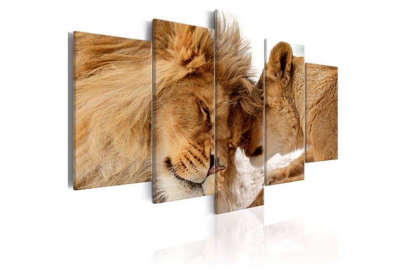 Billede Wild Love 100x50, Artgeist sp. z o. o.