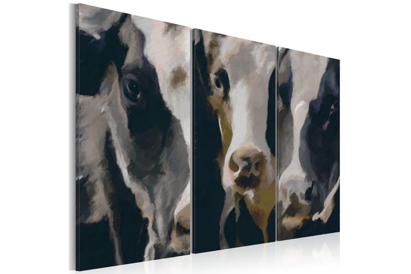 Billede Piebald Cow 120x80, Artgeist sp. z o. o.