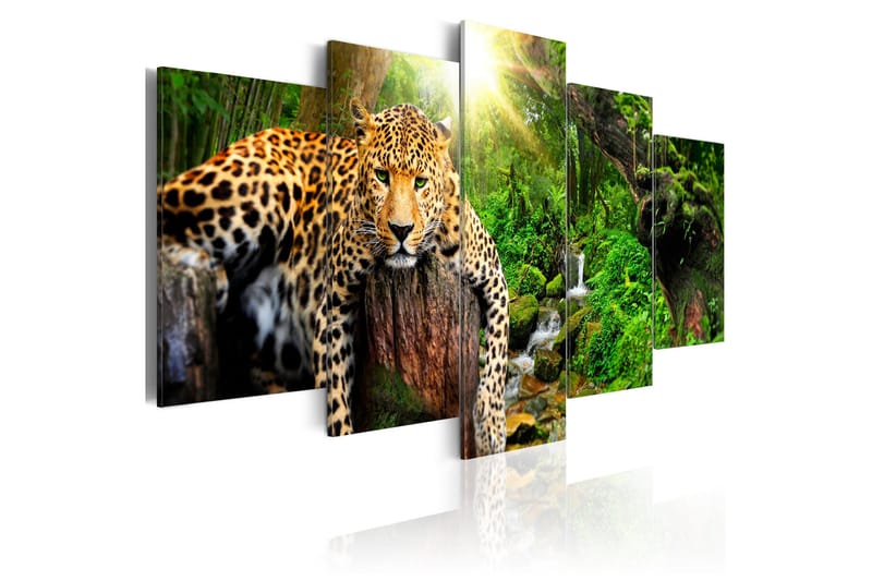 Billede Predator's Relaxation 100x50, Artgeist sp. z o. o.