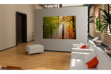 Billede A Calm Autumn Forest 60x40 - Artgeist sp. z o. o. - Boligtilbehør - Billeder & kunst - Billeder på lærred