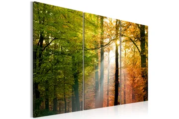 Billede A Calm Autumn Forest 60x40 - Artgeist sp. z o. o. - Boligtilbehør - Billeder & kunst - Billeder på lærred