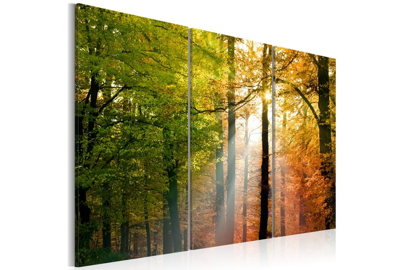 Billede A Calm Autumn Forest 60x40, Artgeist sp. z o. o.