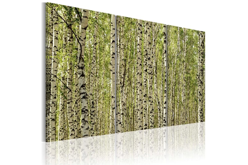 Billede A forest of birch trees 60x40, Artgeist sp. z o. o.