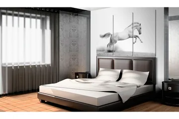 Billede A Galloping Horse 60x40 - Artgeist sp. z o. o. - Boligtilbehør - Billeder & kunst - Billeder på lærred